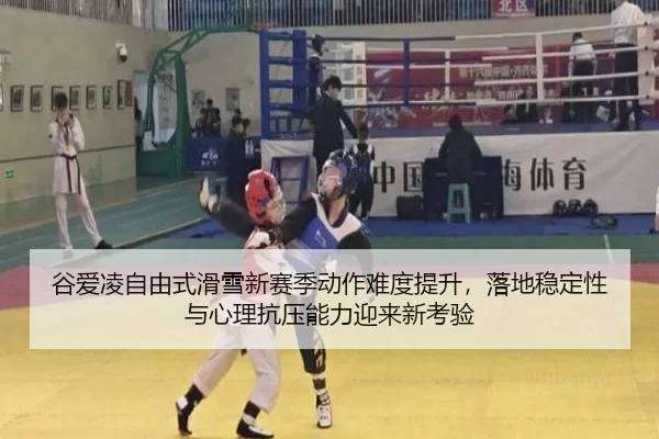gu-ai-ling-zi-you-shi-hua-xue-xin-sai-ji-dong-zuo-nan-du-ti-sheng-luo-di-wen-ding-xing-yu-xin-li-kang-ya-neng-li-ying-2-247.jpg